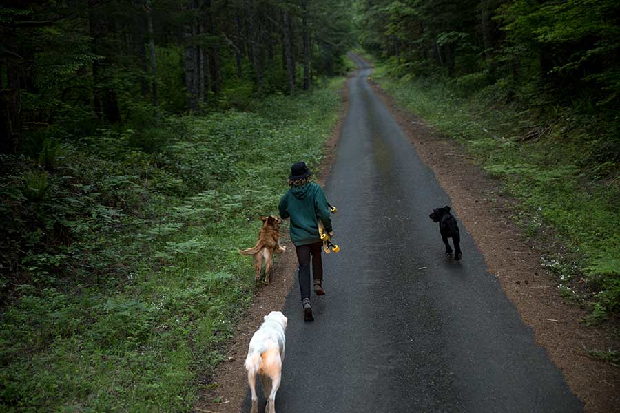 boy running with skateboard and dogs in the mountains